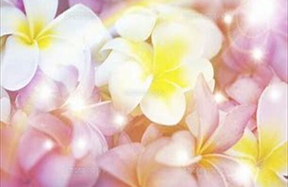 名古屋市東区砂田橋あっとホームデイサービス　ご利用料金